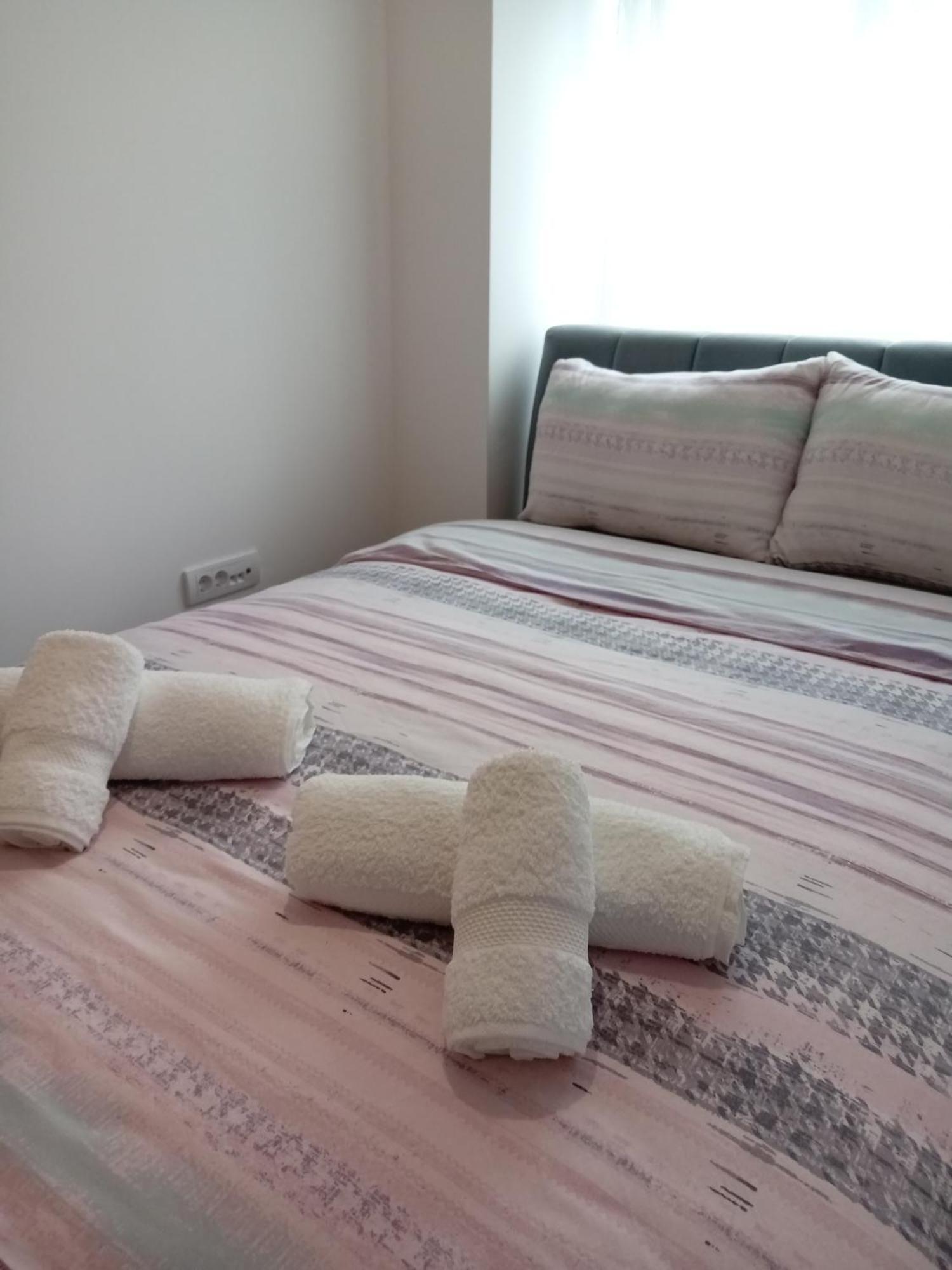 Tera Apartment Zemun Belgrade Extérieur photo